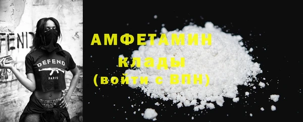 стаф Вяземский
