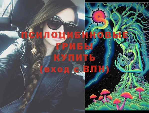 твердый Горно-Алтайск