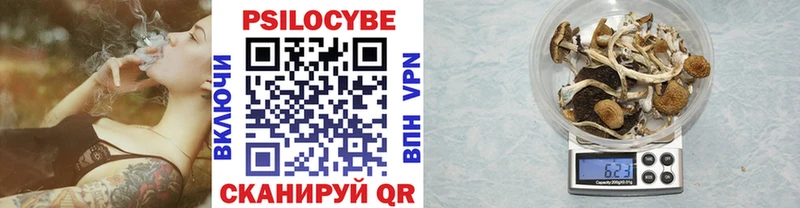 даркнет формула  как найти наркотики  Чернушка  Псилоцибиновые грибы мицелий 